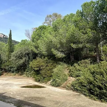L'olive, Elegant Studio En Pleine Nature Apartment Hyères